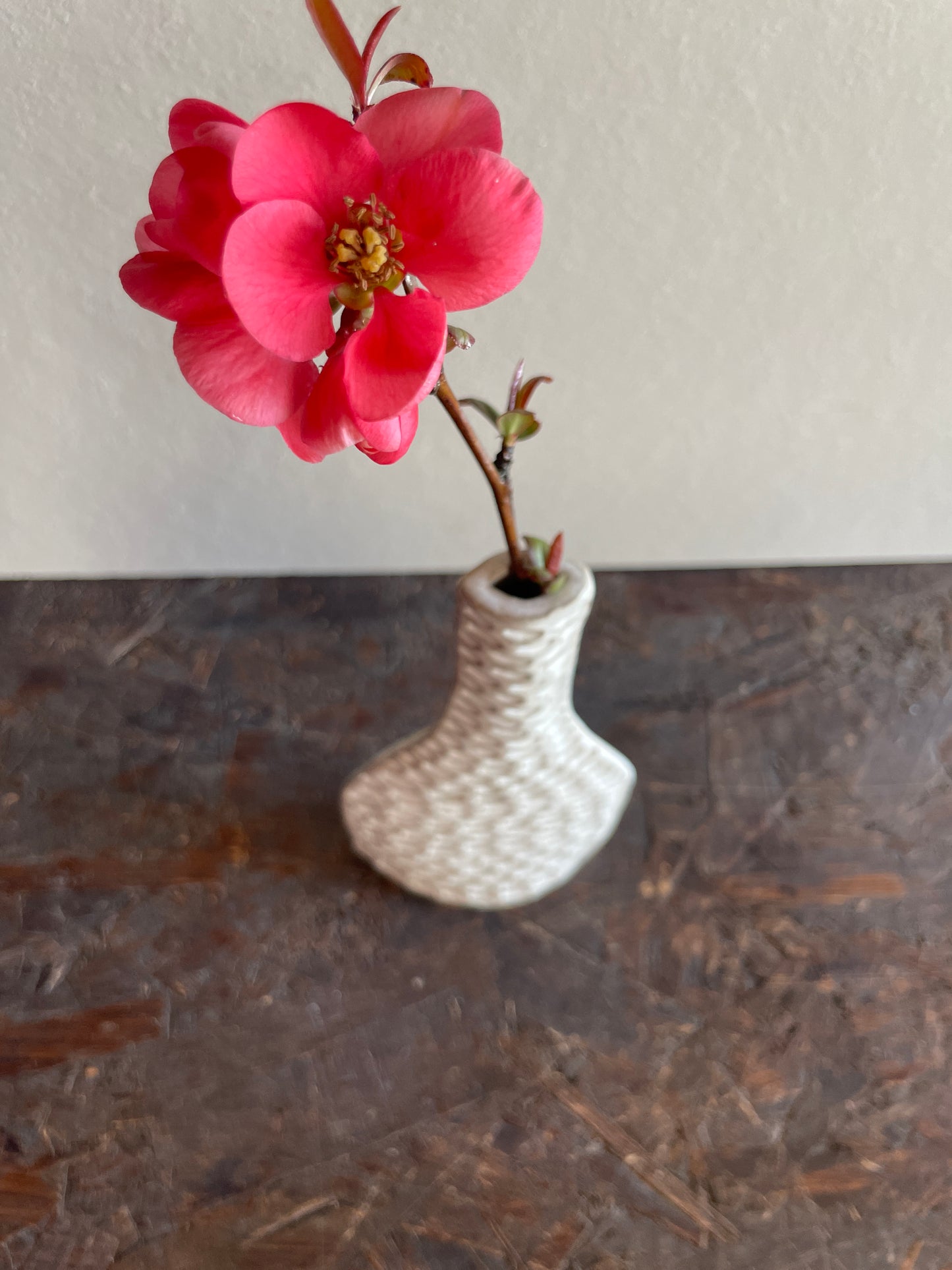 Vaso Levante, bianco texture