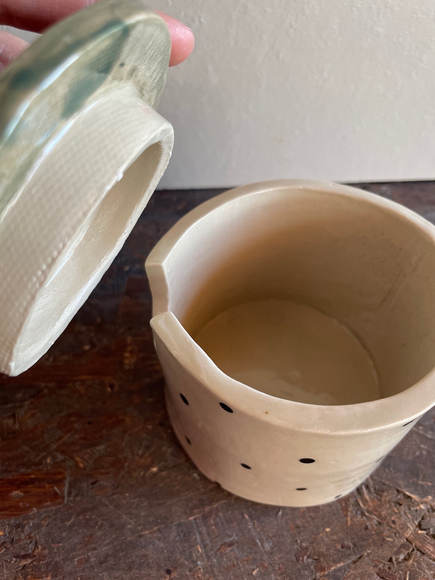 Zuccheriera Radici grande