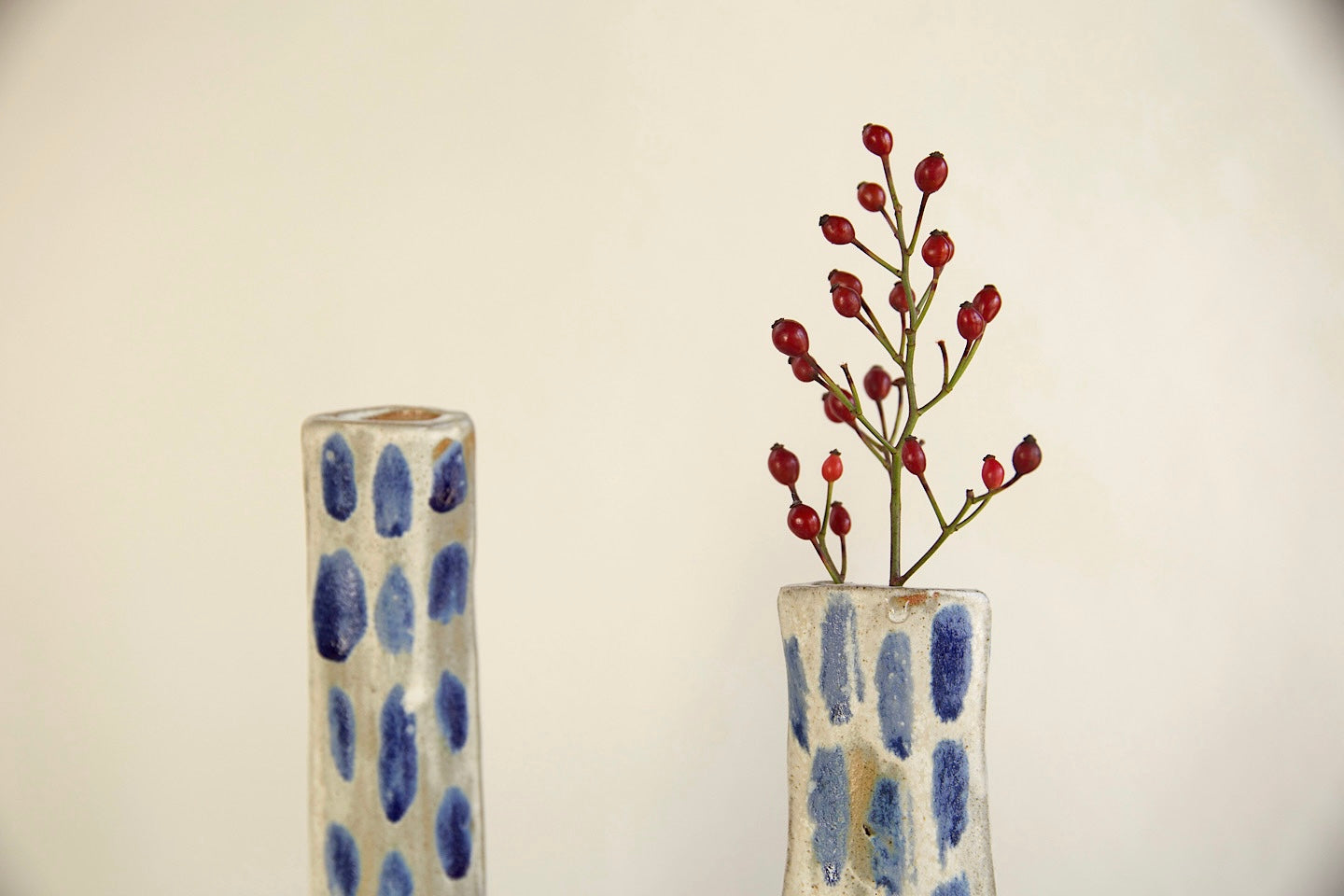 Coppia vasi “sospesi”