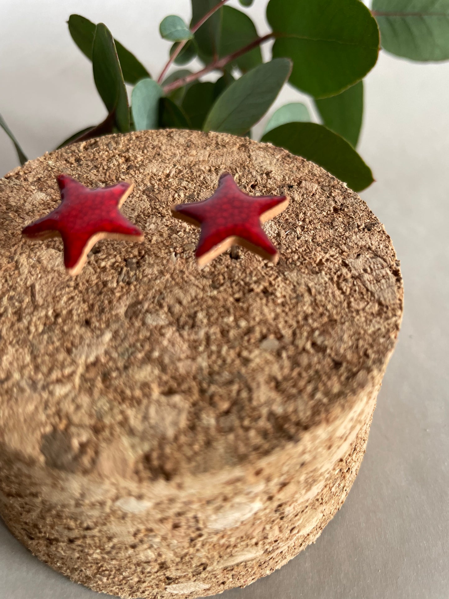 Orecchini stella rossa media