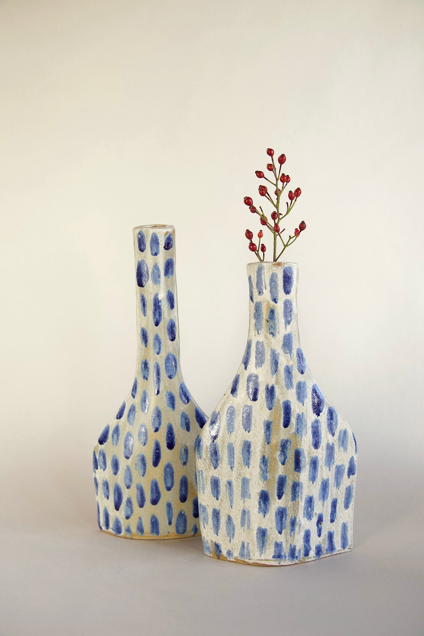 Coppia vasi “sospesi”