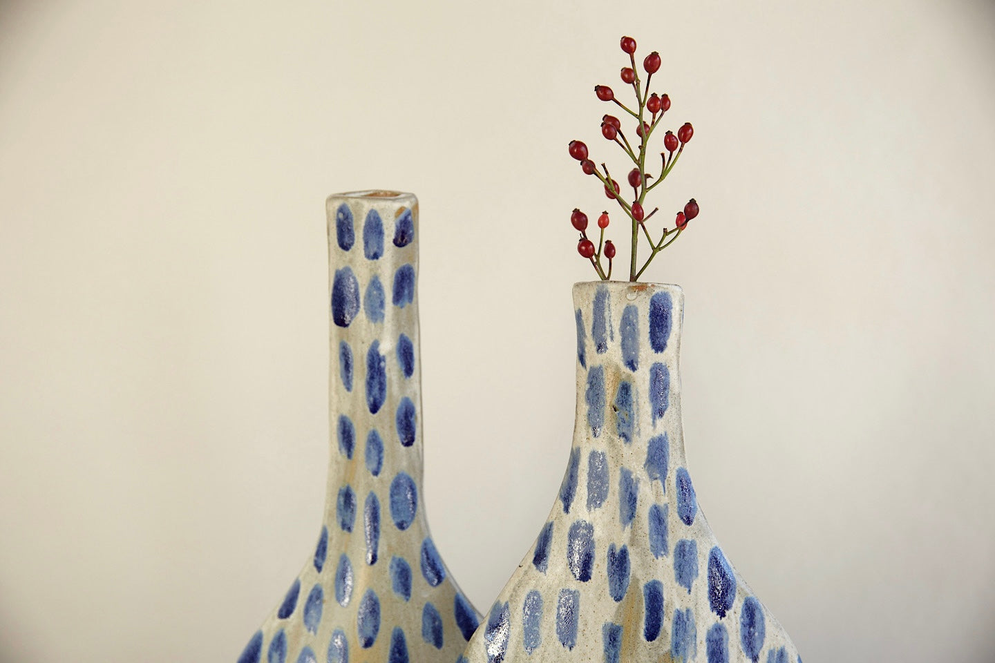 Coppia vasi “sospesi”