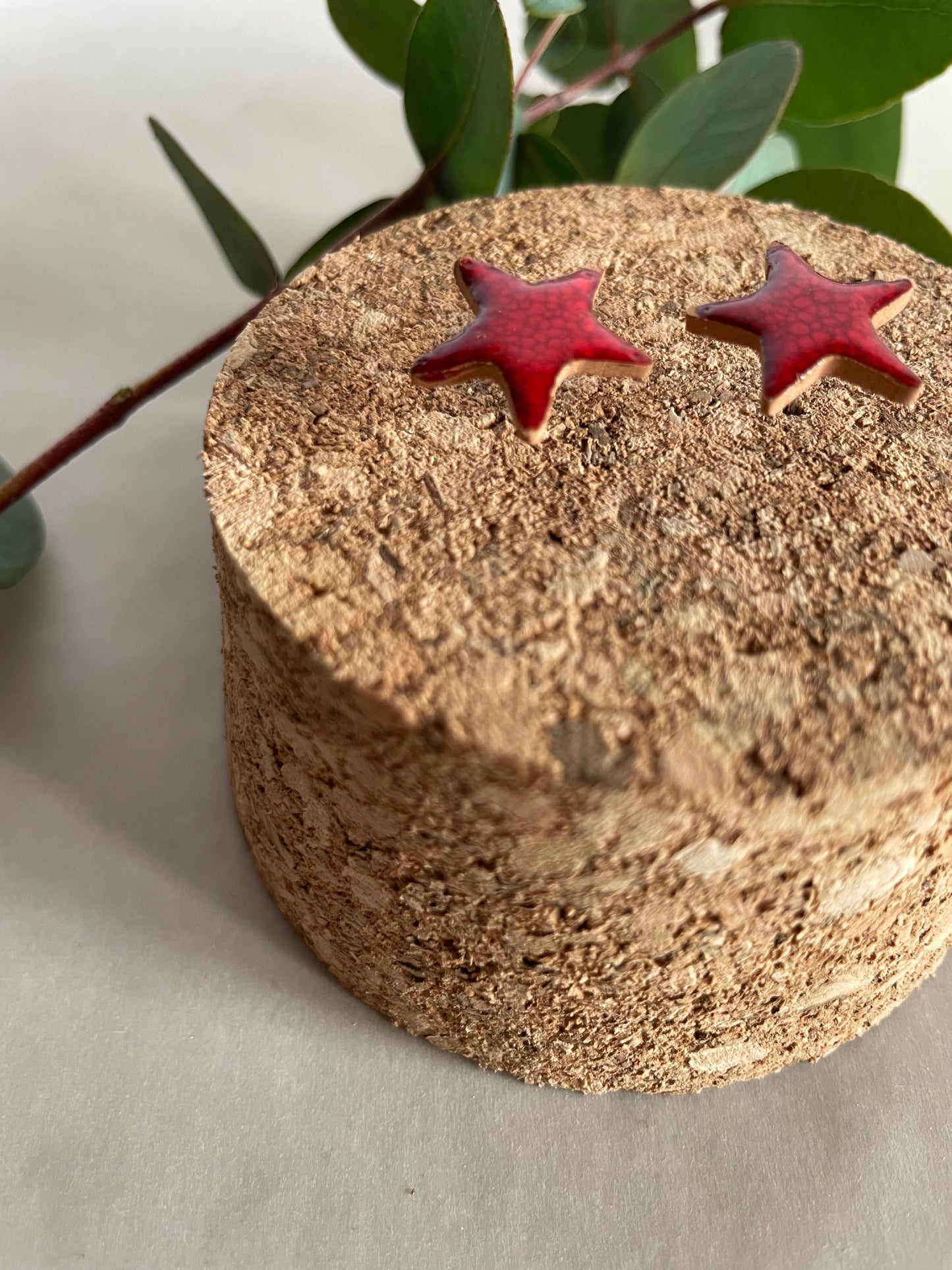 Orecchini stella rossa media